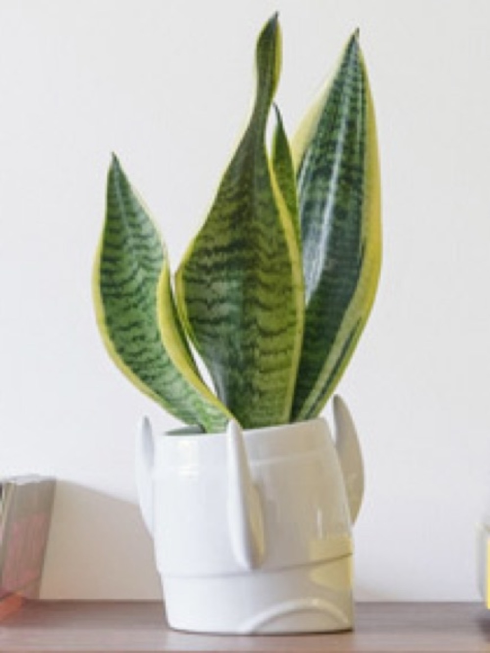 🚀 Luckies of London • Ceramic Rocket Ship Planter Pot